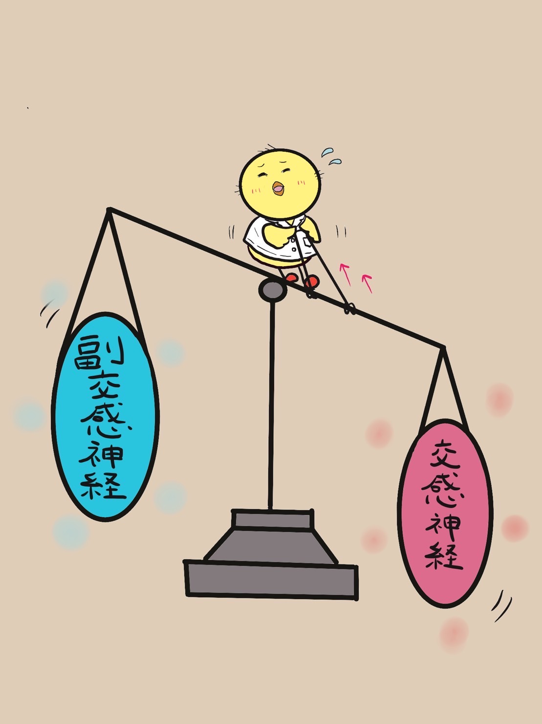 更年期による自律神経バランスの乱れを示すイラスト 岩出市で更年期や自律神経の乱れを説明する交感神経と副交感神経のバランスイラスト